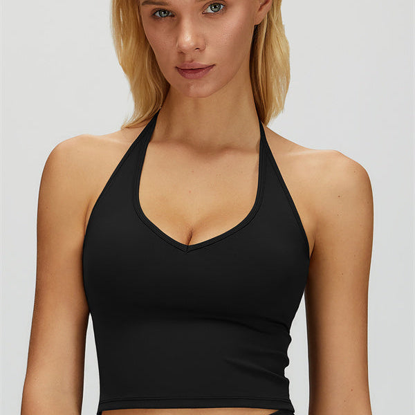 The Dreamy Halter Crop Top