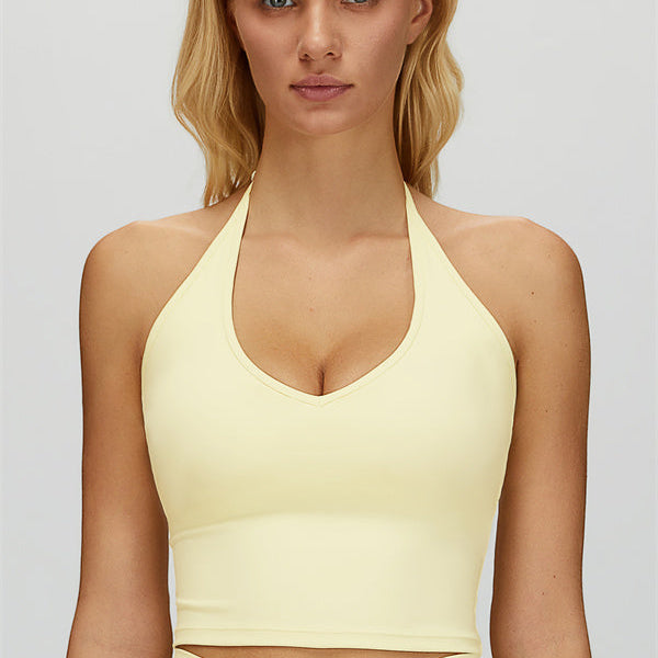 The Dreamy Halter Crop Top