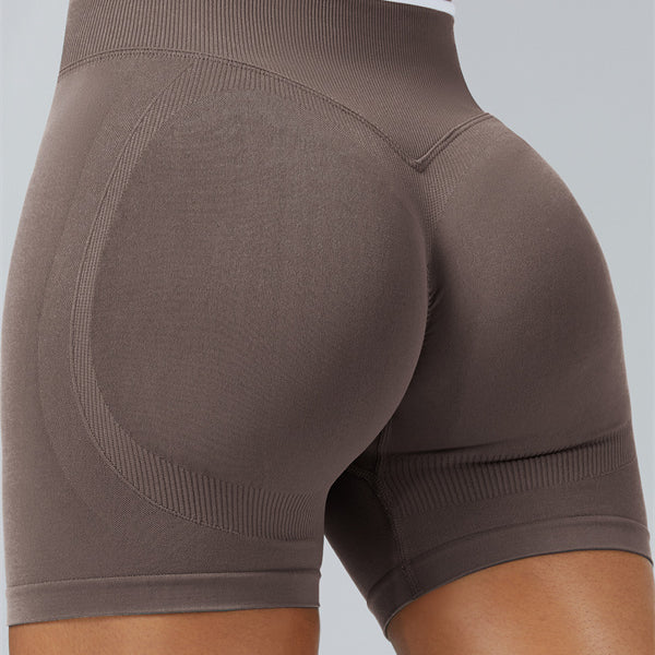 The Elevate New Shorts
