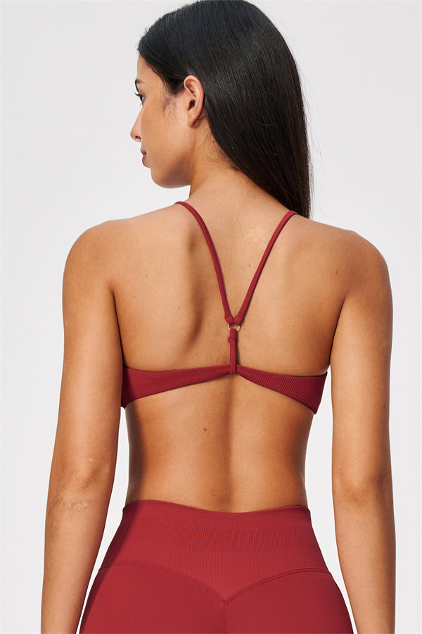 The Wanderlust Sports Bra