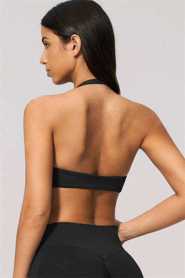 The Velvetine Halter Sports Bra
