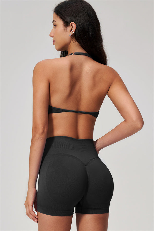 The Horizon Sports Bra Shorts 2-Piece Set