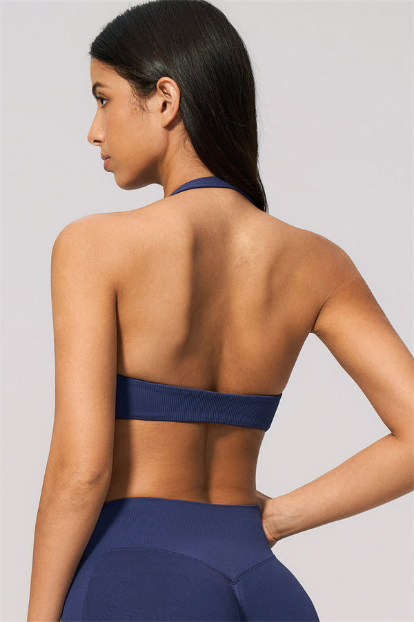 The Velvetine Halter Sports Bra