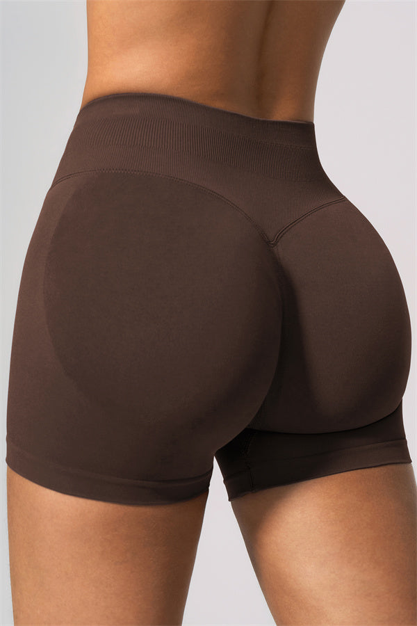The Velvetine Shorts