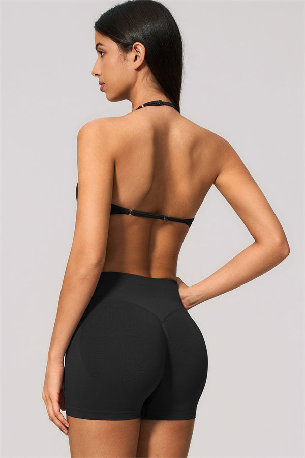 The Velvetine Sports Bra Shorts 2-Piece Set