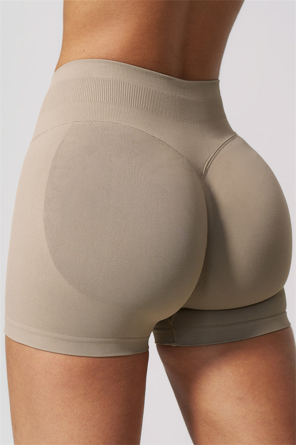The Velvetine Shorts