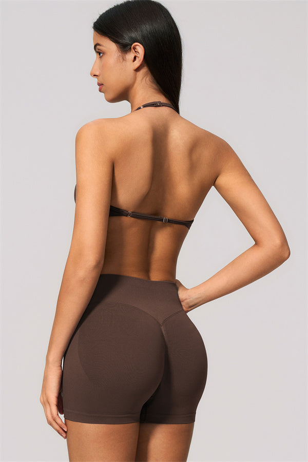 The Velvetine Sports Bra Shorts 2-Piece Set
