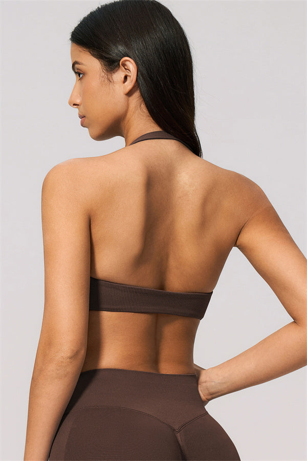 The Velvetine Halter Sports Bra