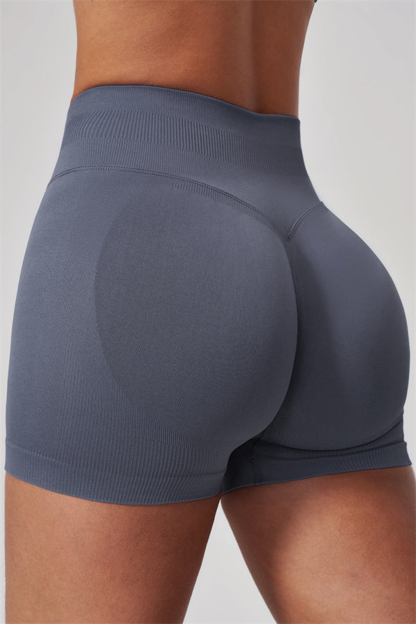 The Horizon Shorts